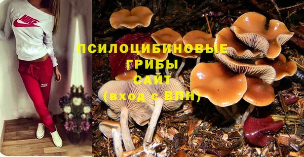 дмт Мегион