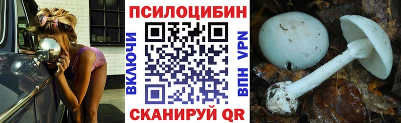 Купить  Салаир  Галлюциногенные грибы Magic Shrooms 